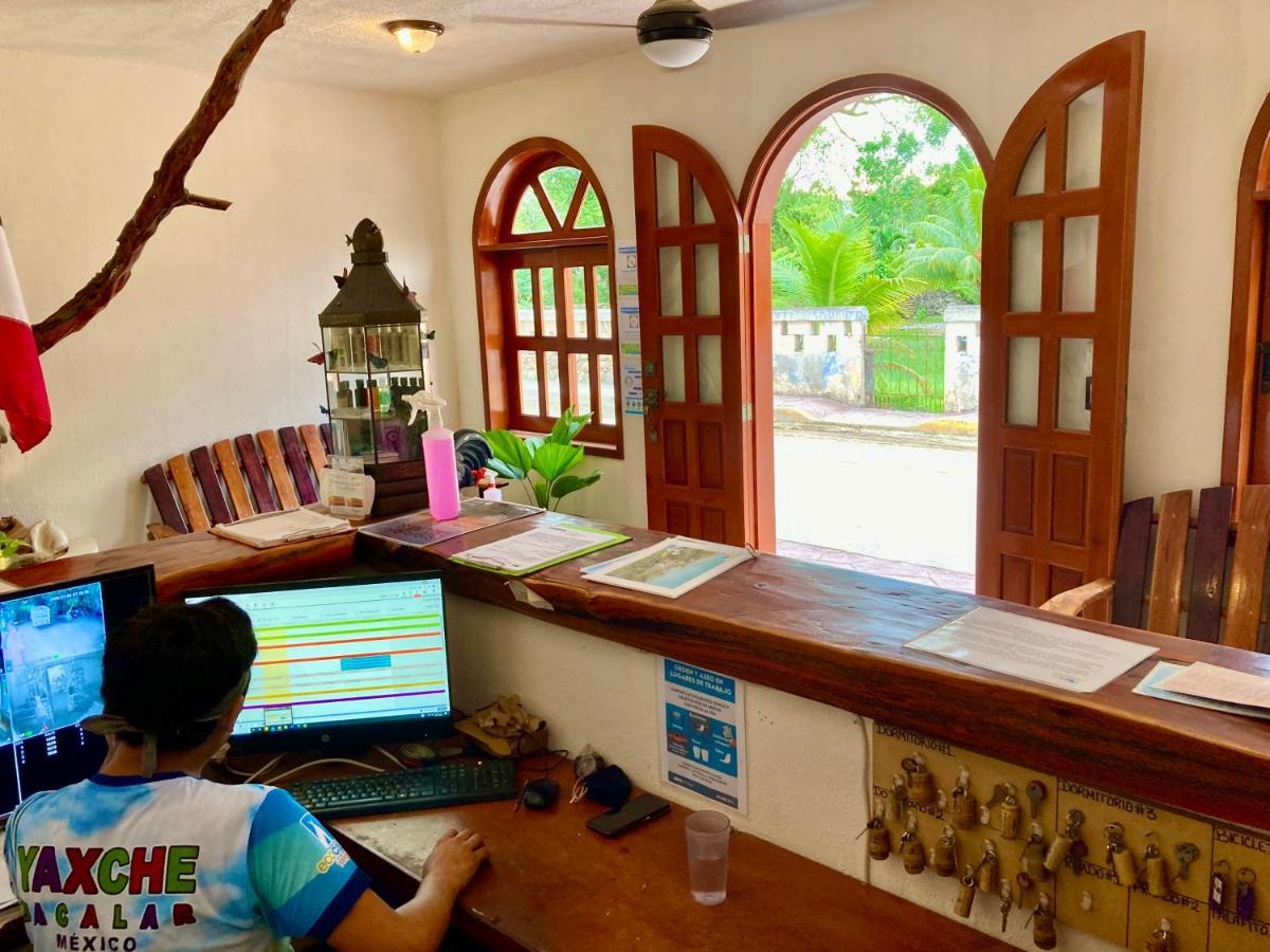 Yaxche Centro Hostal Y Camping Bacalar Eksteriør bilde