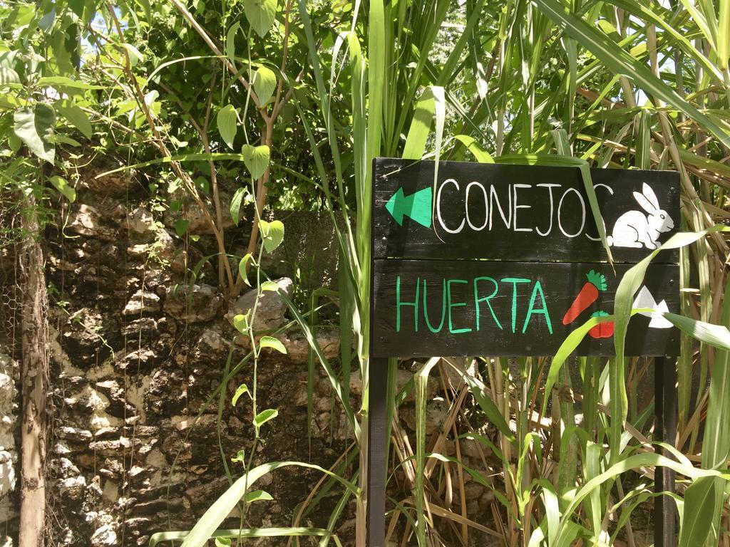 Yaxche Centro Hostal Y Camping Bacalar Eksteriør bilde